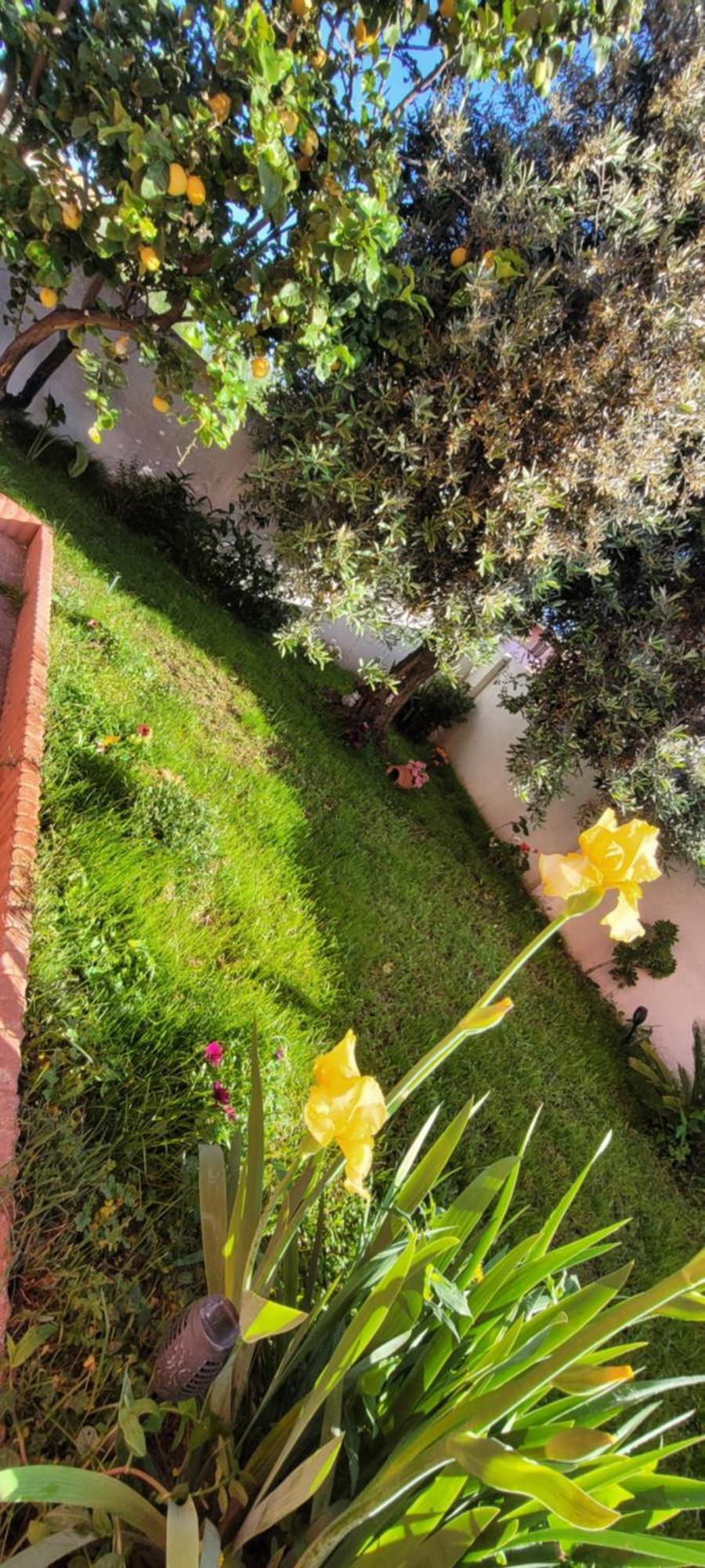 Kokky'S Home Su Forti Kültér fotó